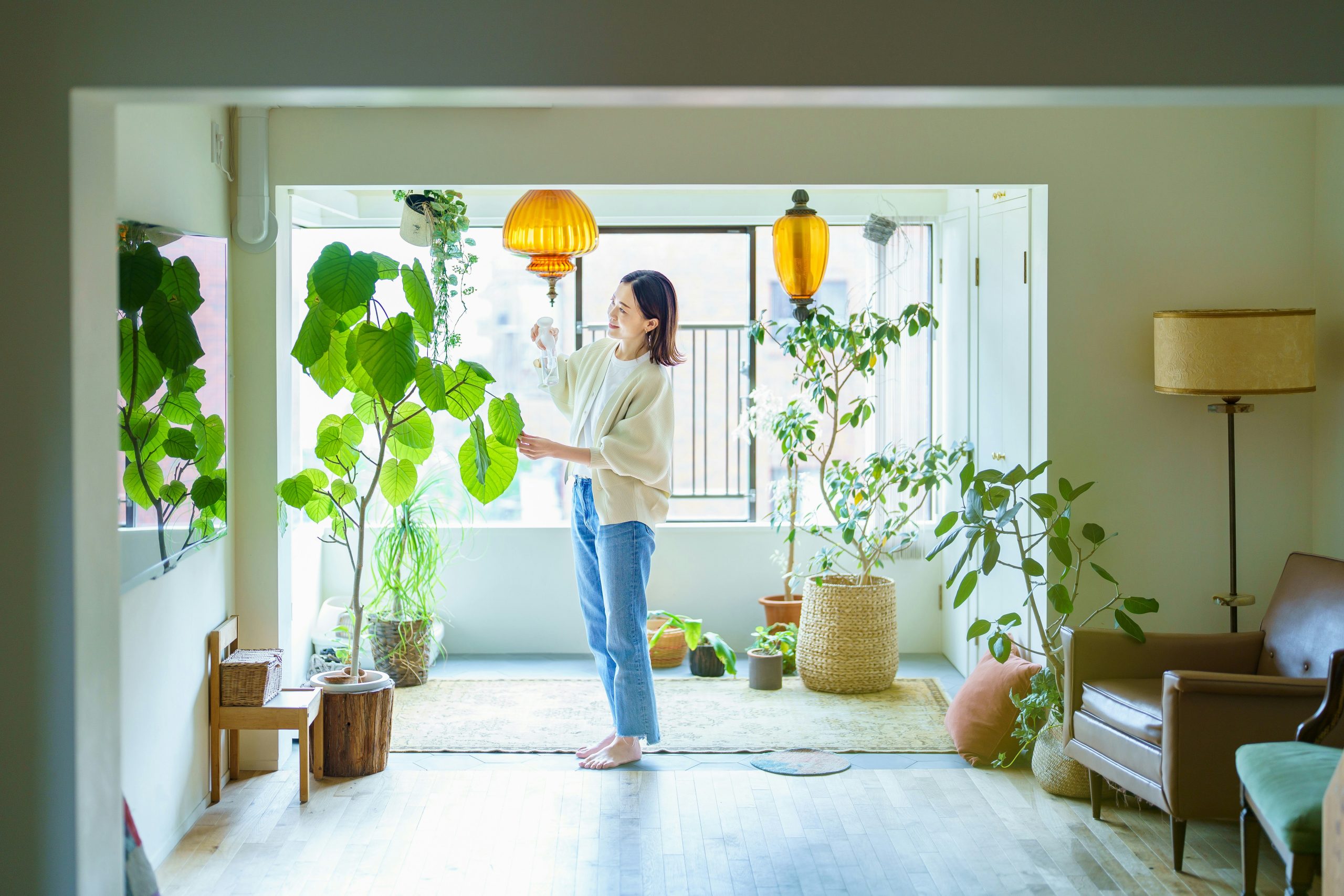 Advanced Home Greenery Care System